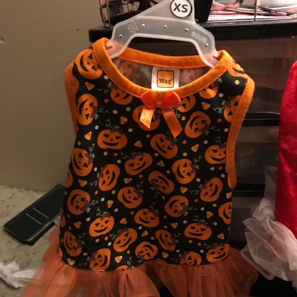 Halloween dress